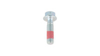 Vite per pignone / disco freno Aprilia OEM Vite per pignone / disco freno Aprilia OEM