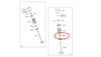 Anello di tenuta per stelo valvola Kawasaki OEM