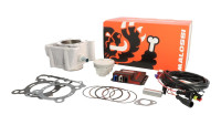 Kit cilindri e centralina di tuning Malossi 166 cc Kit cilindri e centralina di tuning Malossi 166 cc