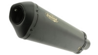 Silenziatore terminale Slip-On Shark DSX-10