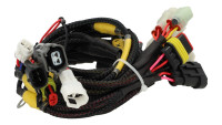 Modulo di chiptuning per centralina Racedynamics Powertronic V4 Modulo di chiptuning per centralina Racedynamics Powertronic V4